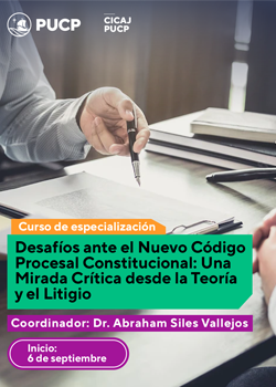 Curso de Especialización. Desafíos ante el Nuevo Código Procesal Constitucional: Una Mirada Crítica desde la Teoría y el Litigio