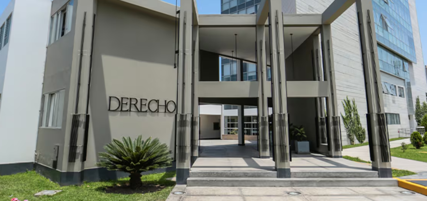 Líneas de investigación, Áreas e Investigadores/as: publicaciones del CICAJ 2021-2025